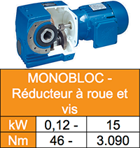 reducteur roue et vis sans fin MONOBLOC