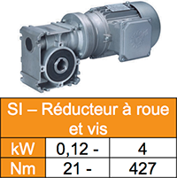 reducteur roue et vis sans fin SI