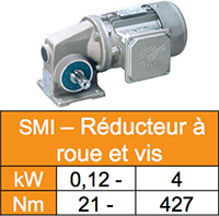 reducteur roue et vis sans fin SMI